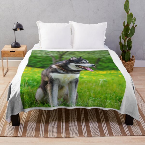 Item preview, Agouti Alaskan Malamute Dog Sitting in a Field designed and sold by VanGaldo.
