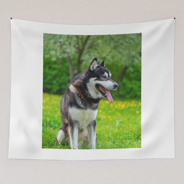 Item preview, Agouti Alaskan Malamute Dog Sitting in a Field designed and sold by VanGaldo.