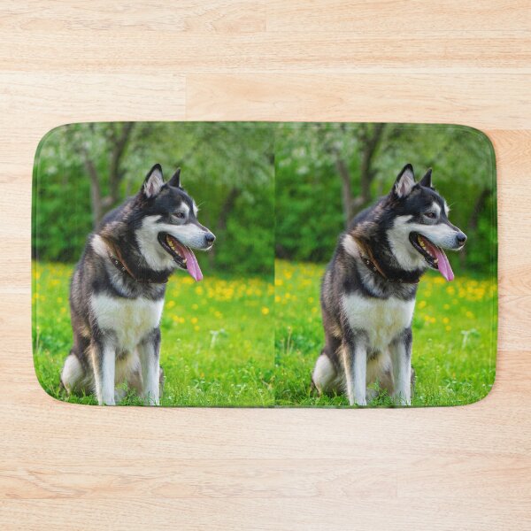 Item preview, Agouti Alaskan Malamute Dog Sitting in a Field designed and sold by VanGaldo.