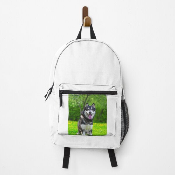 Item preview, Frontal Portrait of a Smiling Alaskan Malamute Dog designed and sold by VanGaldo.