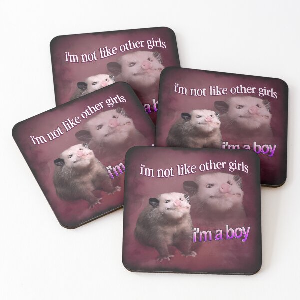 Item preview, I'M Not Like Other Girls I'M A Boy Possum designed and sold by Richie-I-think.