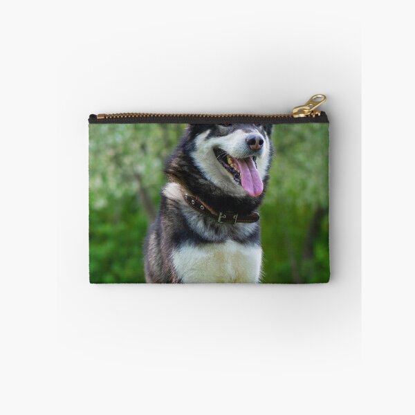 Item preview, Portrait of an Alaskan Malamute Dog Outdoors designed and sold by VanGaldo.