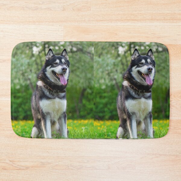 Item preview, Portrait of an Alaskan Malamute Dog Outdoors designed and sold by VanGaldo.