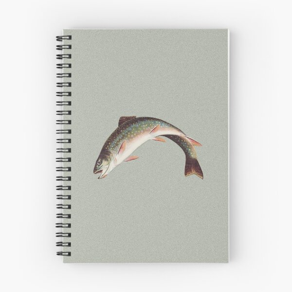 Item preview, Leaping Brook Trout by Samuel Kilbourne, 1874 designed and sold by Exhumed Archives.