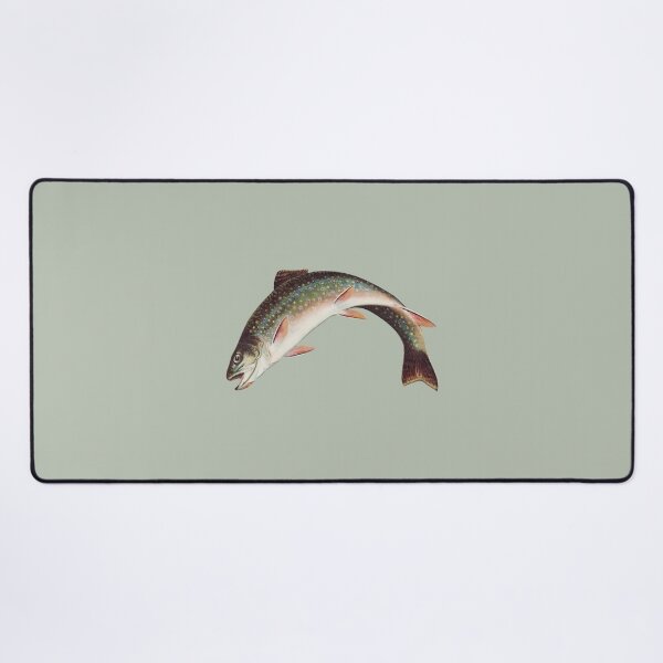 Item preview, Leaping Brook Trout by Samuel Kilbourne, 1874 designed and sold by Exhumed Archives.