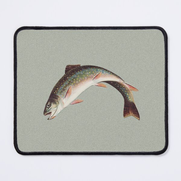 Item preview, Leaping Brook Trout by Samuel Kilbourne, 1874 designed and sold by Exhumed Archives.