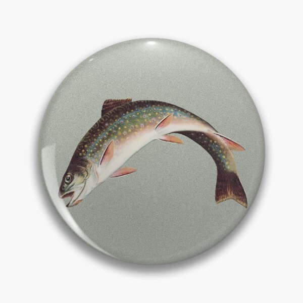 Item preview, Leaping Brook Trout by Samuel Kilbourne, 1874 designed and sold by Exhumed Archives.
