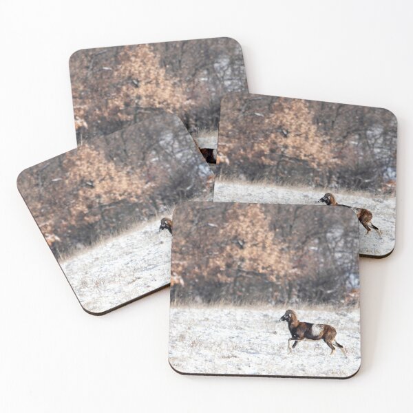 Item preview, Mouflon Ram Crossing a Snowy Meadow designed and sold by Medve Photography & Design.