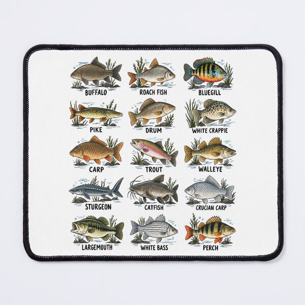 Item preview, Fresh Water River Fish Species Fishing Chart designed and sold by roni-harbor.