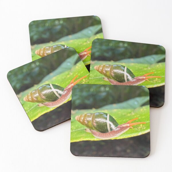 Artikelvorschau, Mushroom Acne Studios Woodland Dreams entworfen und verkauft von wenuroi.
