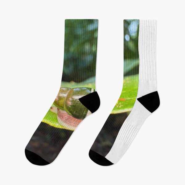 Artikelvorschau, Mushroom Acne Studios Woodland Dreams entworfen und verkauft von wenuroi.