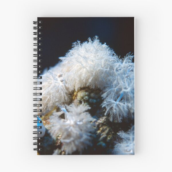 Item preview, White Soft Coral Colony Closeup With Delicate Polyps Underwater Marine Macro Detail designed and sold by FotoMahieu.