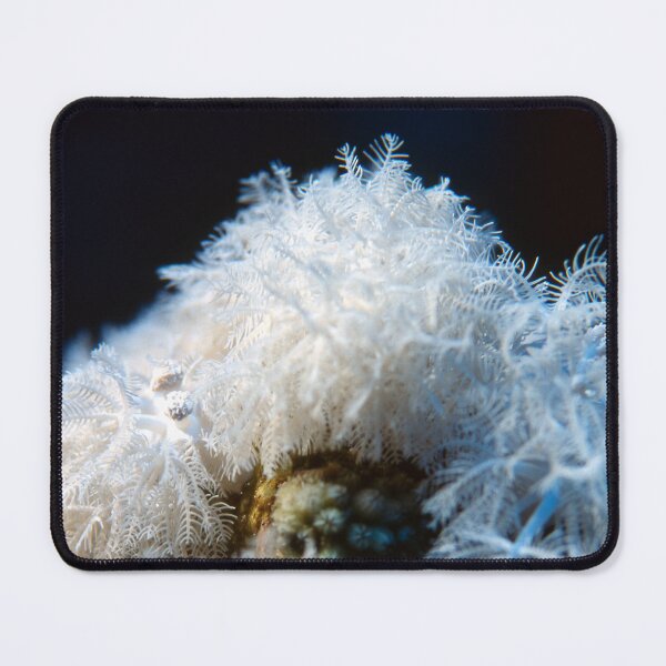 Item preview, White Soft Coral Colony Closeup With Delicate Polyps Underwater Marine Macro Detail designed and sold by FotoMahieu.