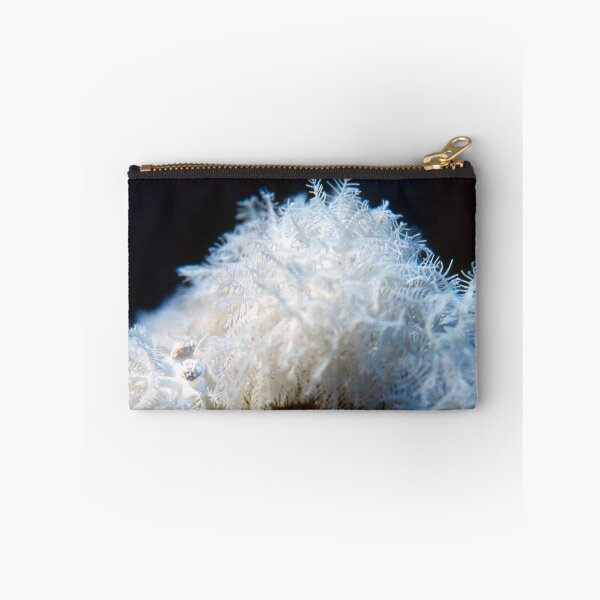 Item preview, White Soft Coral Colony Closeup With Delicate Polyps Underwater Marine Macro Detail designed and sold by FotoMahieu.