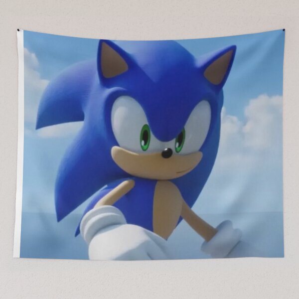 Item preview, Sonic designed and sold by CharmingFlowers.