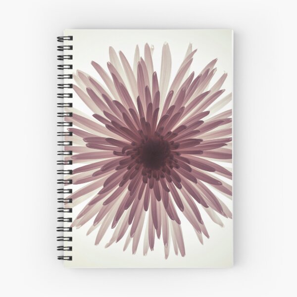 Item preview, Glowing Chrysanthemum designed and sold by assaf.