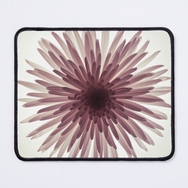 Item preview, Glowing Chrysanthemum designed and sold by assaf.