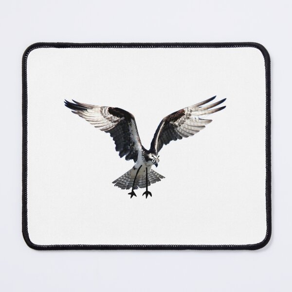 Item preview, Squawk Parrot Bird Funny Tropical Animal Illustration designed and sold by lively. stickers.