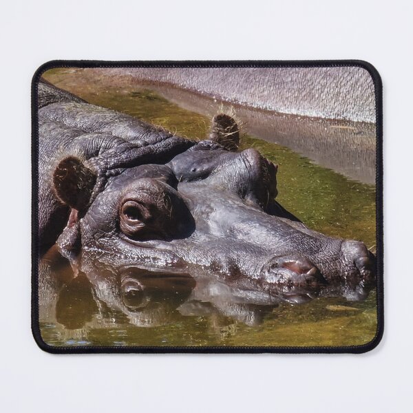 Item preview, In the green water designed and sold by Peter-Mahr.