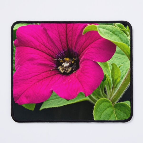 Item preview, Vibrant Purple Flower with Bee designed and sold by Astute-Artio-Photography.