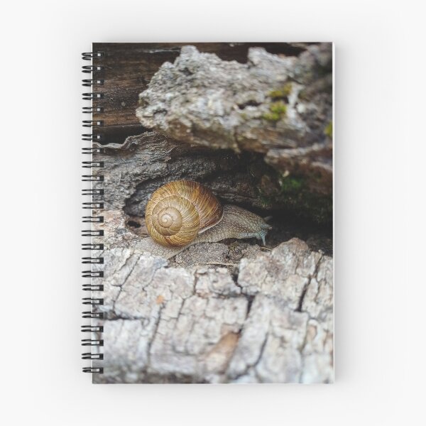 Item preview, Snail hidden in the bark designed and sold by Peter-Mahr.