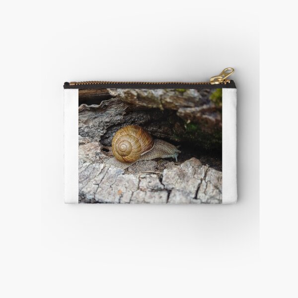 Item preview, Snail hidden in the bark designed and sold by Peter-Mahr.