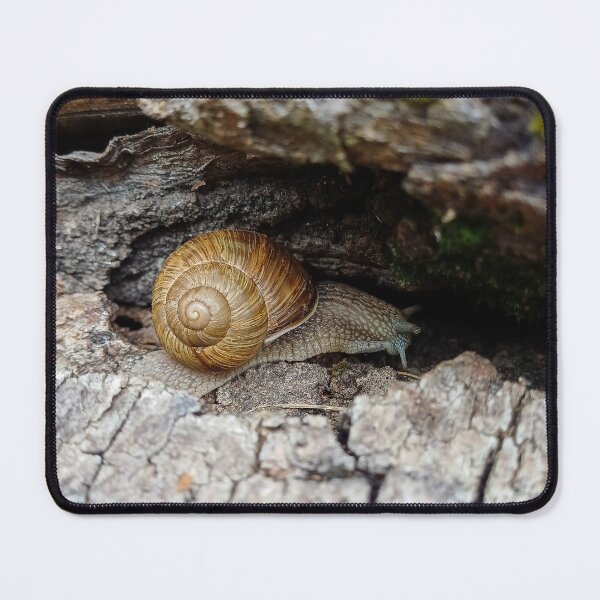 Item preview, Snail hidden in the bark designed and sold by Peter-Mahr.