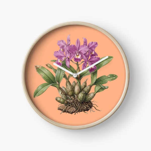 Item preview, The Lent Executioner: Vintage Guarianthe Skinneri Orchid Art Print designed and sold by FreiherrPK.