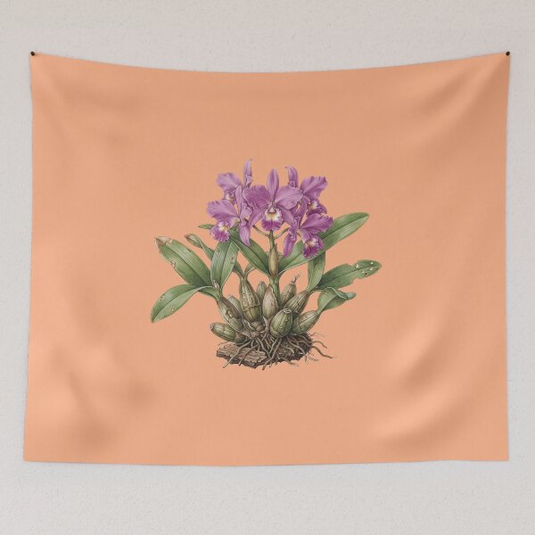 Item preview, The Lent Executioner: Vintage Guarianthe Skinneri Orchid Art Print designed and sold by FreiherrPK.