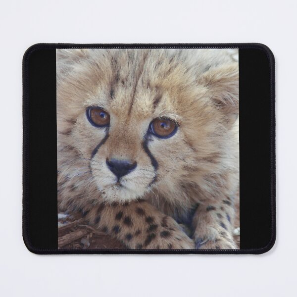 Item preview, young cheetah designed and sold by thupho.