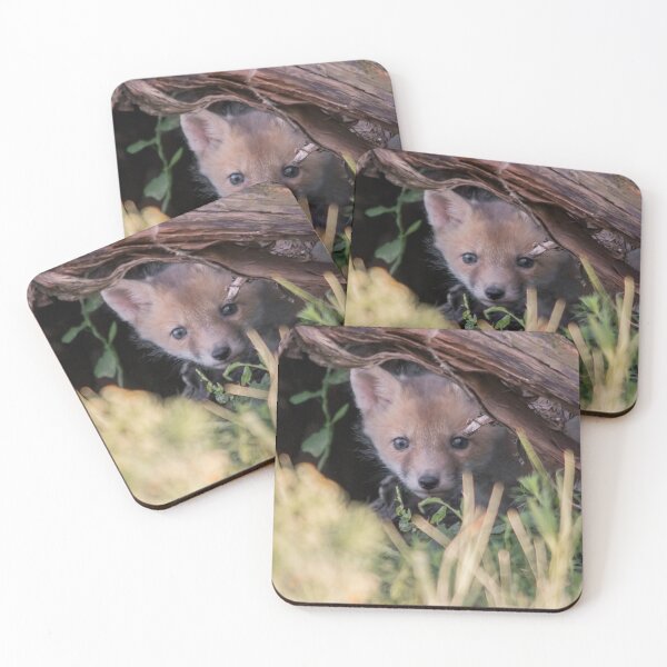 Item preview, Fox Cub in Its Woodland Hideout designed and sold by gabormedve.