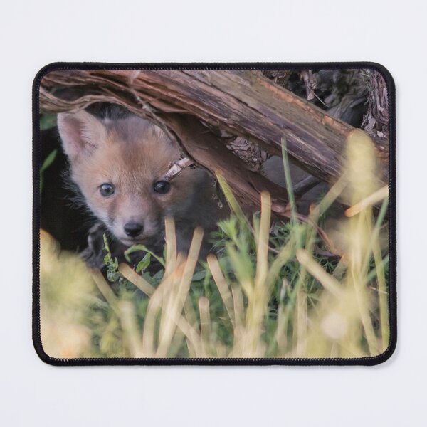 Item preview, Fox Cub in Its Woodland Hideout designed and sold by Medve Photography & Design.