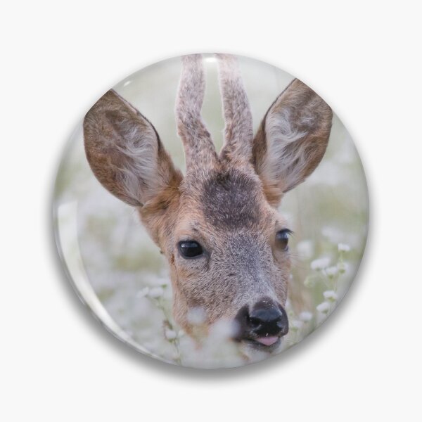 Item preview, Roe Deer Buck Among White Flowers designed and sold by Medve Photography & Design.