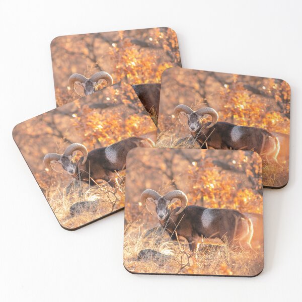 Item preview, Mouflon Ram in Golden Woodland Light designed and sold by Medve Photography & Design.