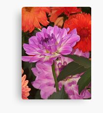 Dahlias Dahlias Dahlias Canvas Print