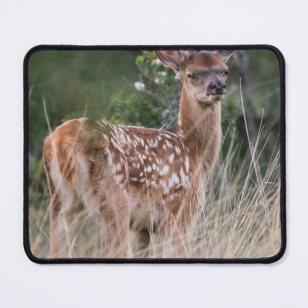 Item preview, Young Red Deer in the Meadow designed and sold by gabormedve.