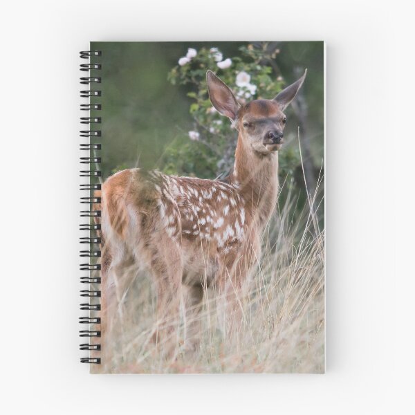 Item preview, Young Red Deer in the Meadow designed and sold by Medve Photography & Design.