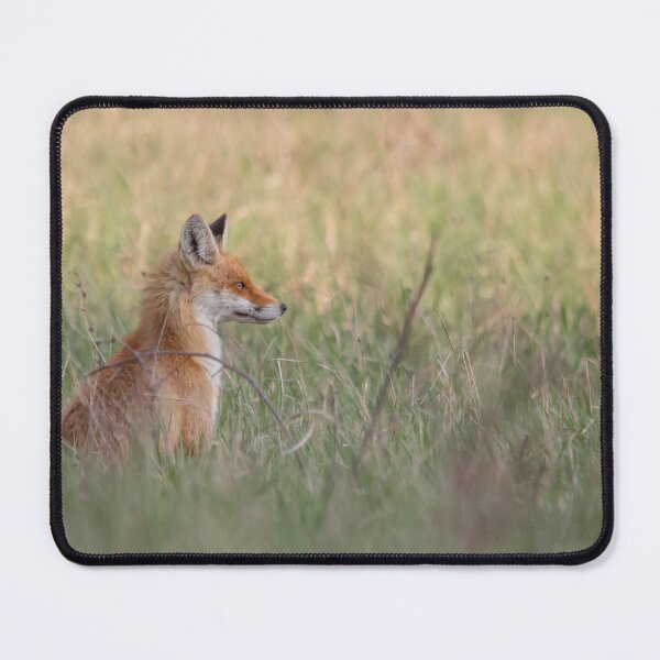 Item preview, Red Fox in a Quiet Summer Meadow designed and sold by gabormedve.