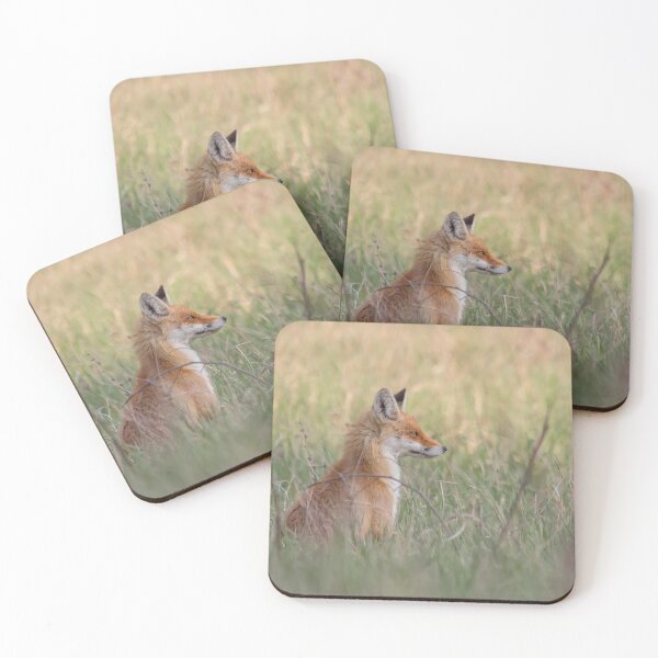 Item preview, Red Fox in a Quiet Summer Meadow designed and sold by Medve Photography & Design.