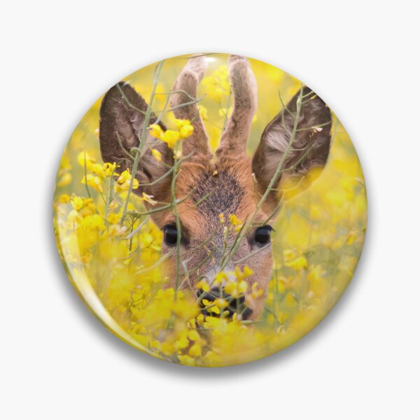 Item preview, Roe Deer Hidden in a Rapeseed Field designed and sold by gabormedve.