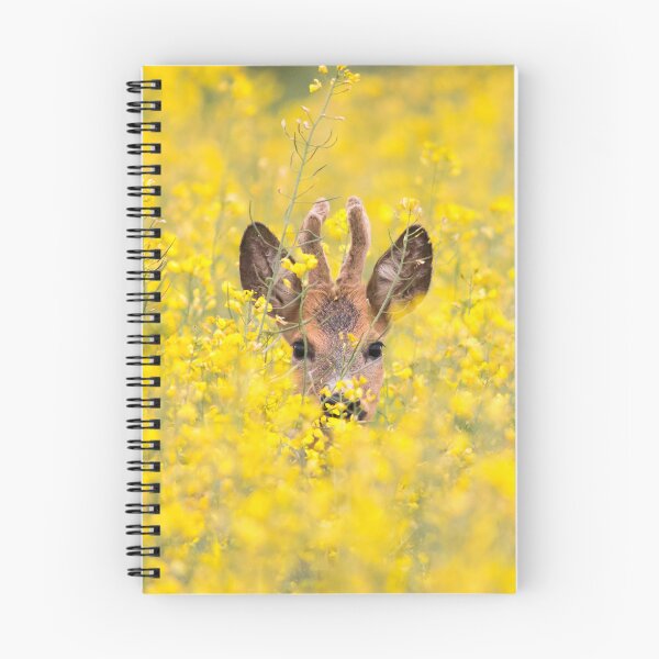 Item preview, Roe Deer Hidden in a Rapeseed Field designed and sold by gabormedve.