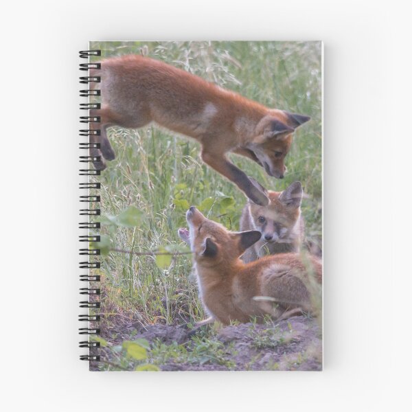 Artikelvorschau, Verspielte Fuchsjunge auf der Wiese entworfen und verkauft von Medve Photography & Design.