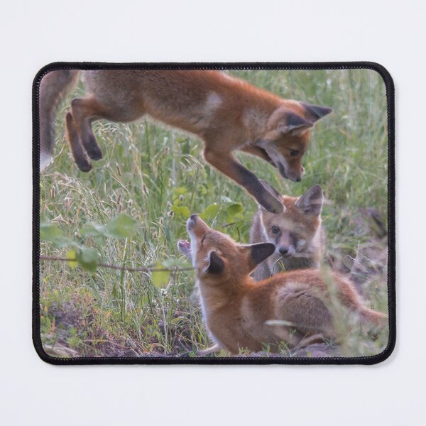 Item preview, Playful Fox Cubs in the Meadow designed and sold by gabormedve.