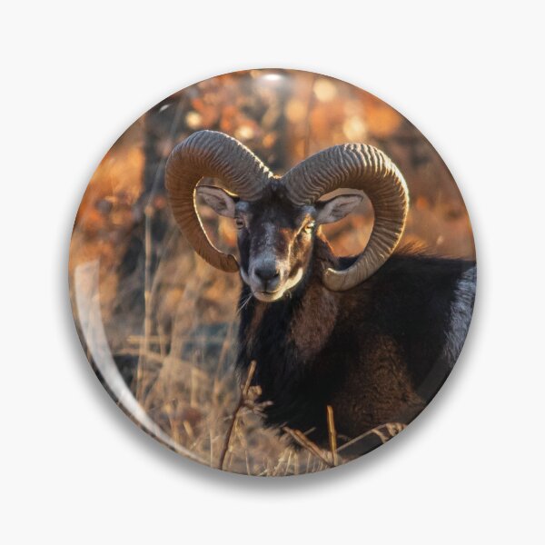 Item preview, Mouflon Ram in Warm Woodland Light designed and sold by gabormedve.