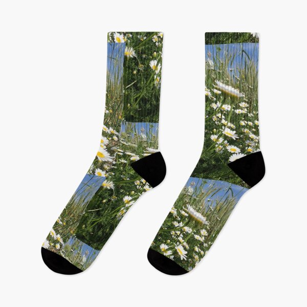 Item preview, Wild Daisies Under the Blue Sky designed and sold by onubi.
