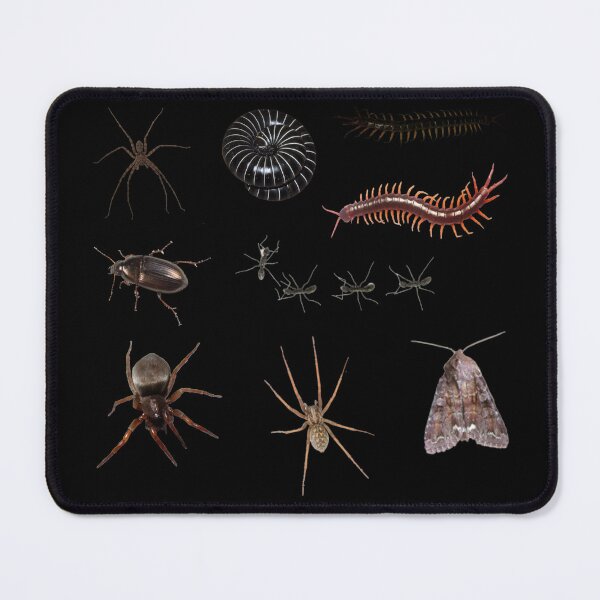 Item preview, bug stickerpack!!! designed and sold by PLANET-VEE.