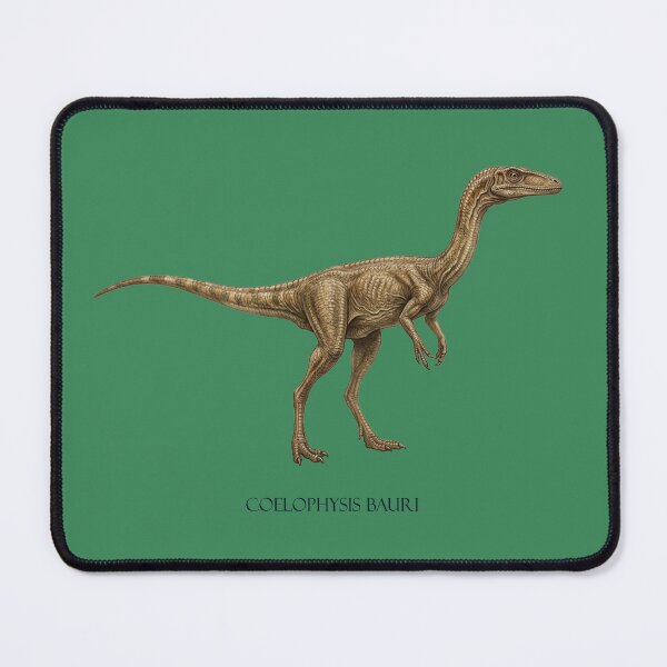 Item preview, The Triassic Sprinter: Coelophysis Bauri Fine Art Print designed and sold by FreiherrPK.