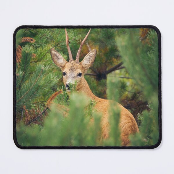 Item preview, Little buck in the forest designed and sold by ByMarielle.