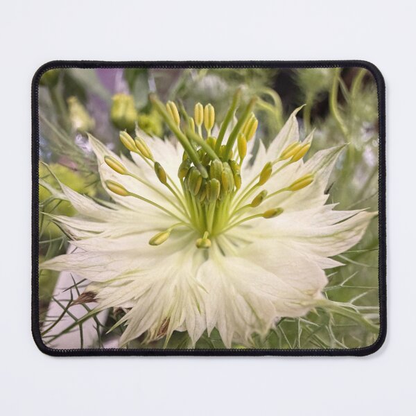 Item preview, Love In A Mist designed and sold by Betsy Phillips.