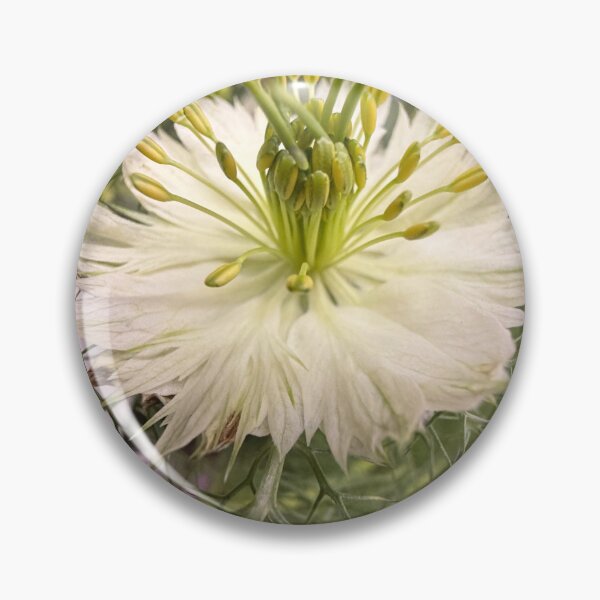 Item preview, Love In A Mist designed and sold by Betsy Phillips.